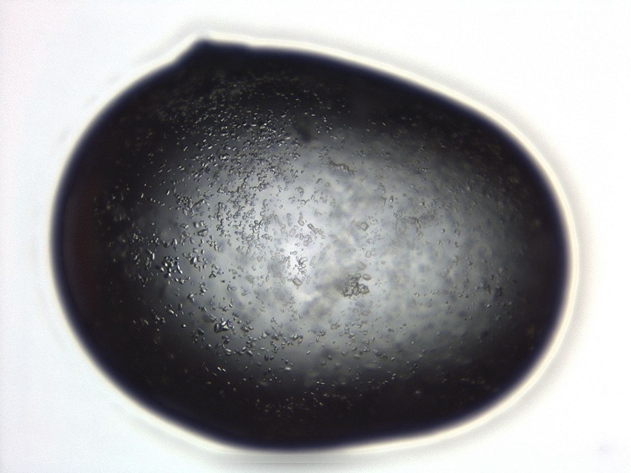 04eo_C9_ImagerDefaults_8.jpg