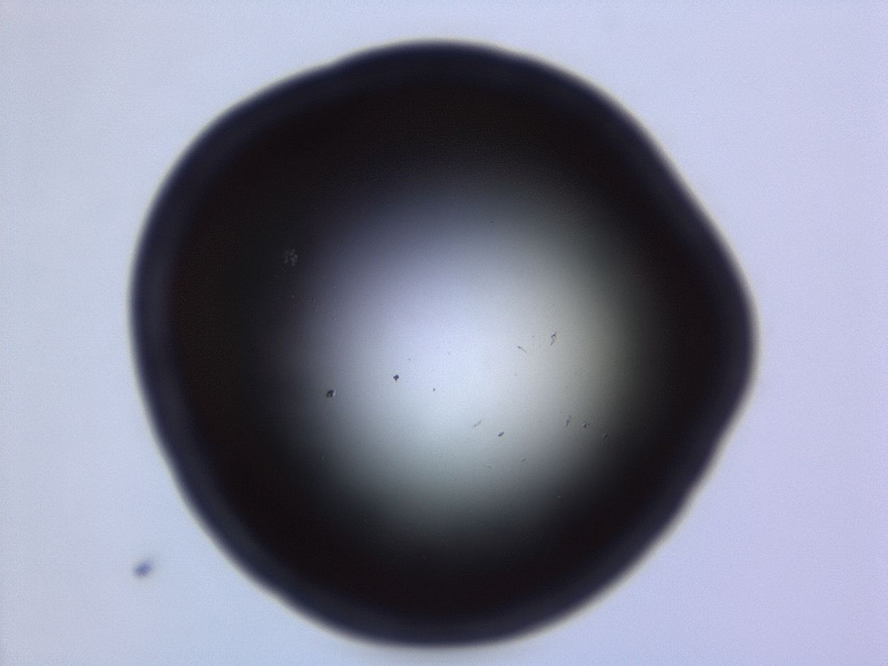 04eo_E2_ImagerDefaults_0.jpg