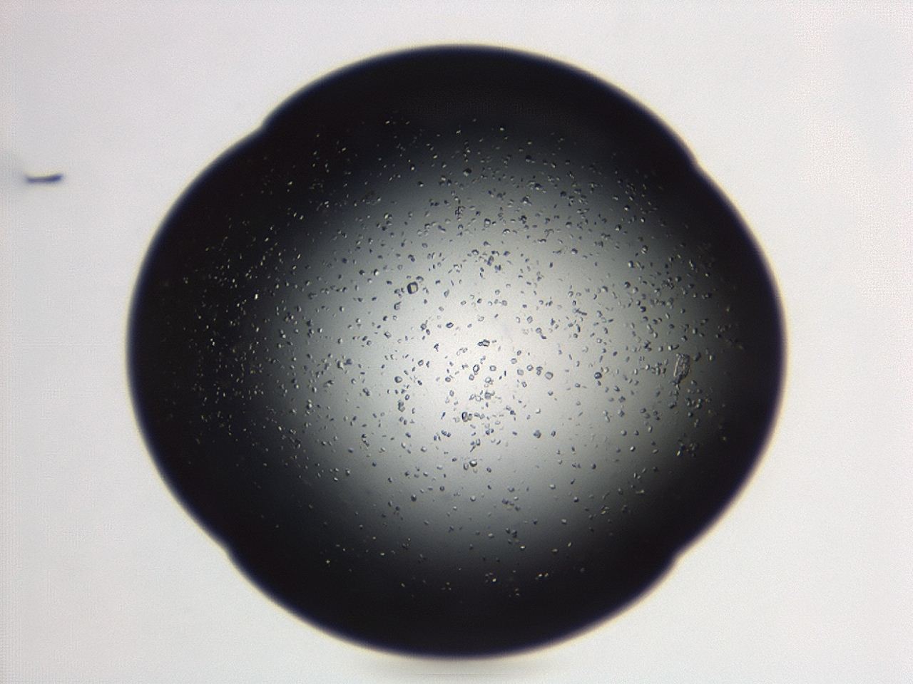 04eo_E8_ImagerDefaults_8.jpg