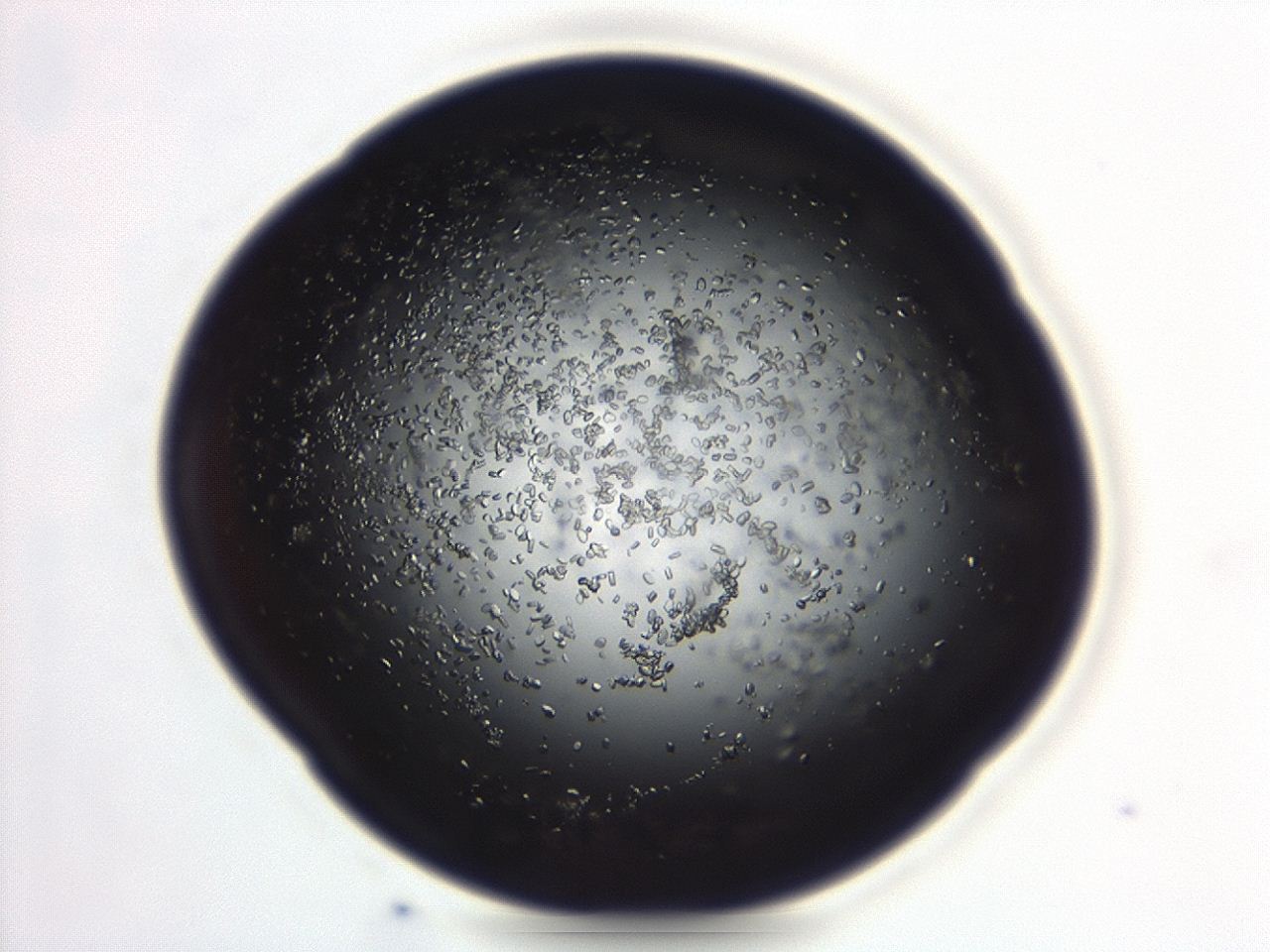 04eo_C11_ImagerDefaults_8.jpg