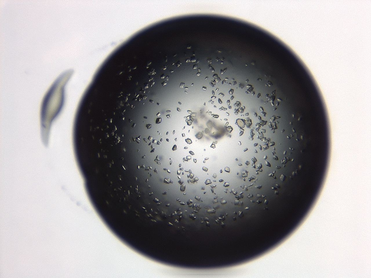 04eo_C12_ImagerDefaults_8.jpg