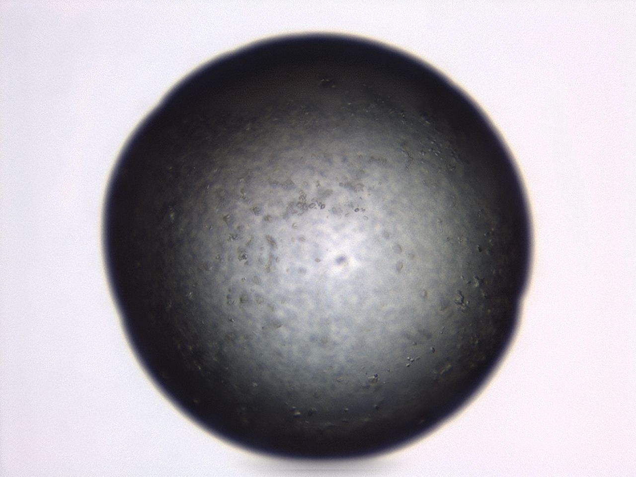04eo_D2_ImagerDefaults_8.jpg