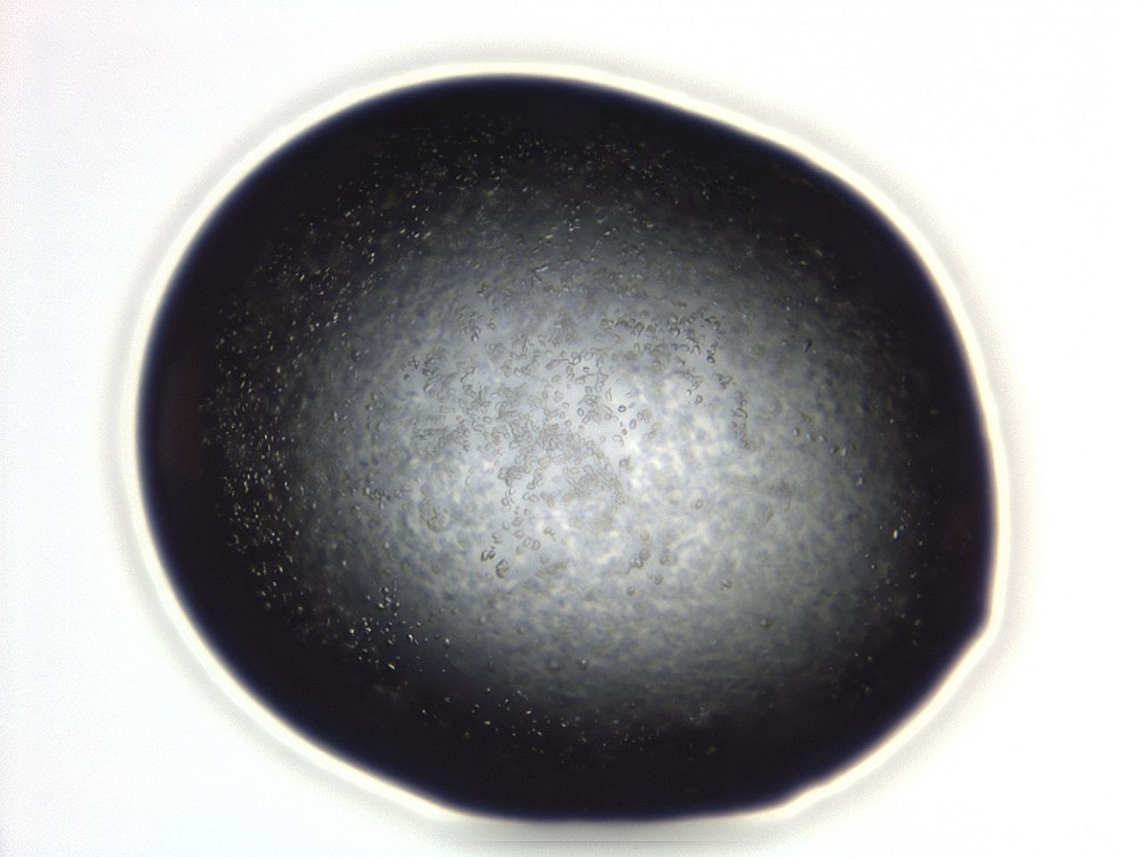 04eo_D4_ImagerDefaults_8.jpg