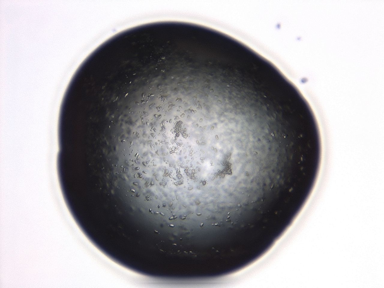 04eo_D6_ImagerDefaults_8.jpg
