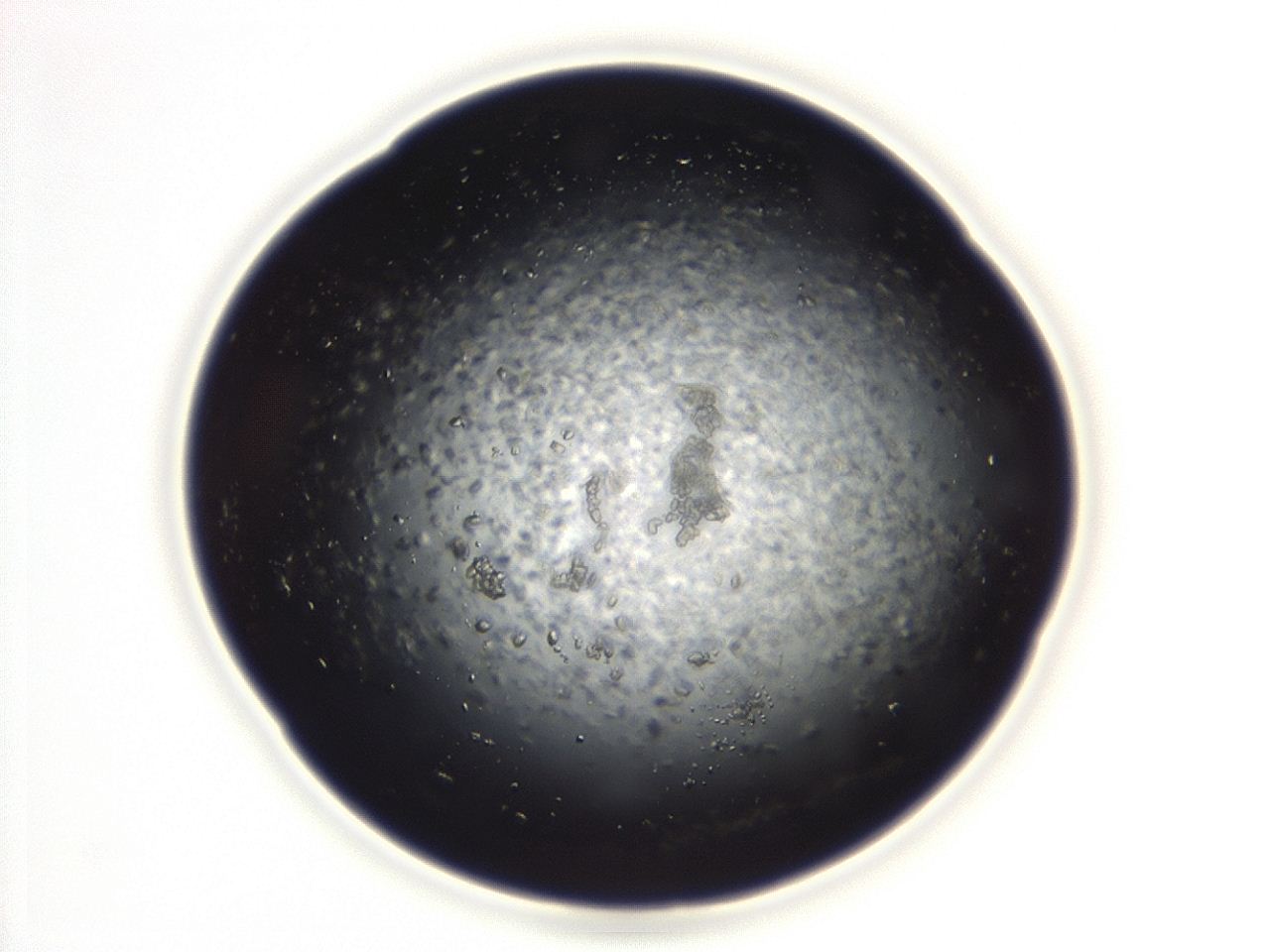 04eo_D8_ImagerDefaults_8.jpg