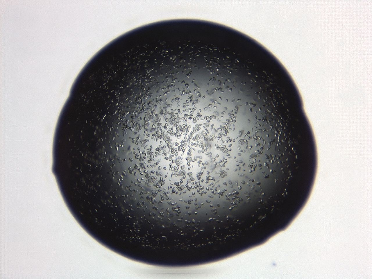 04eo_D9_ImagerDefaults_8.jpg