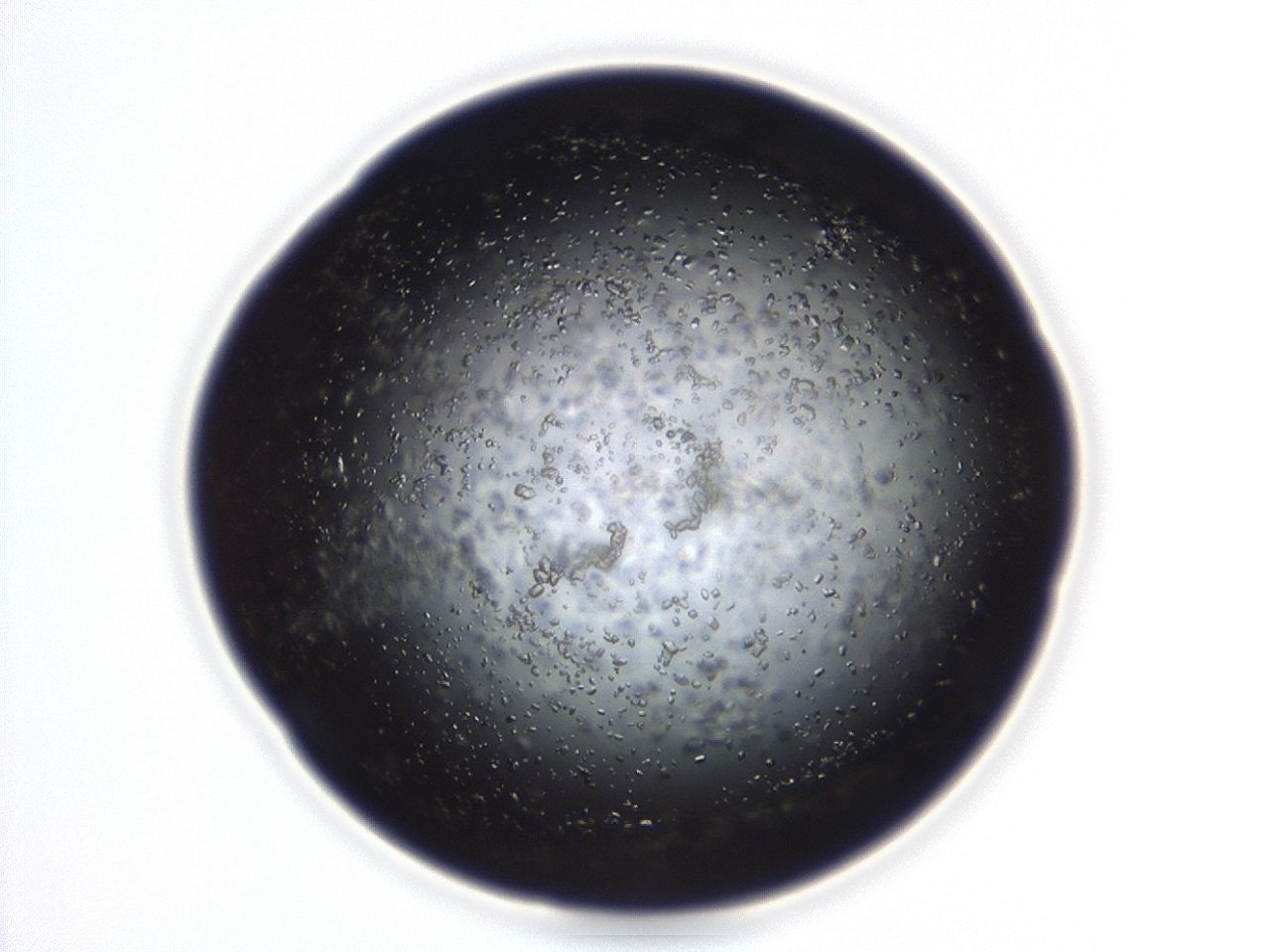 04eo_D10_ImagerDefaults_8.jpg