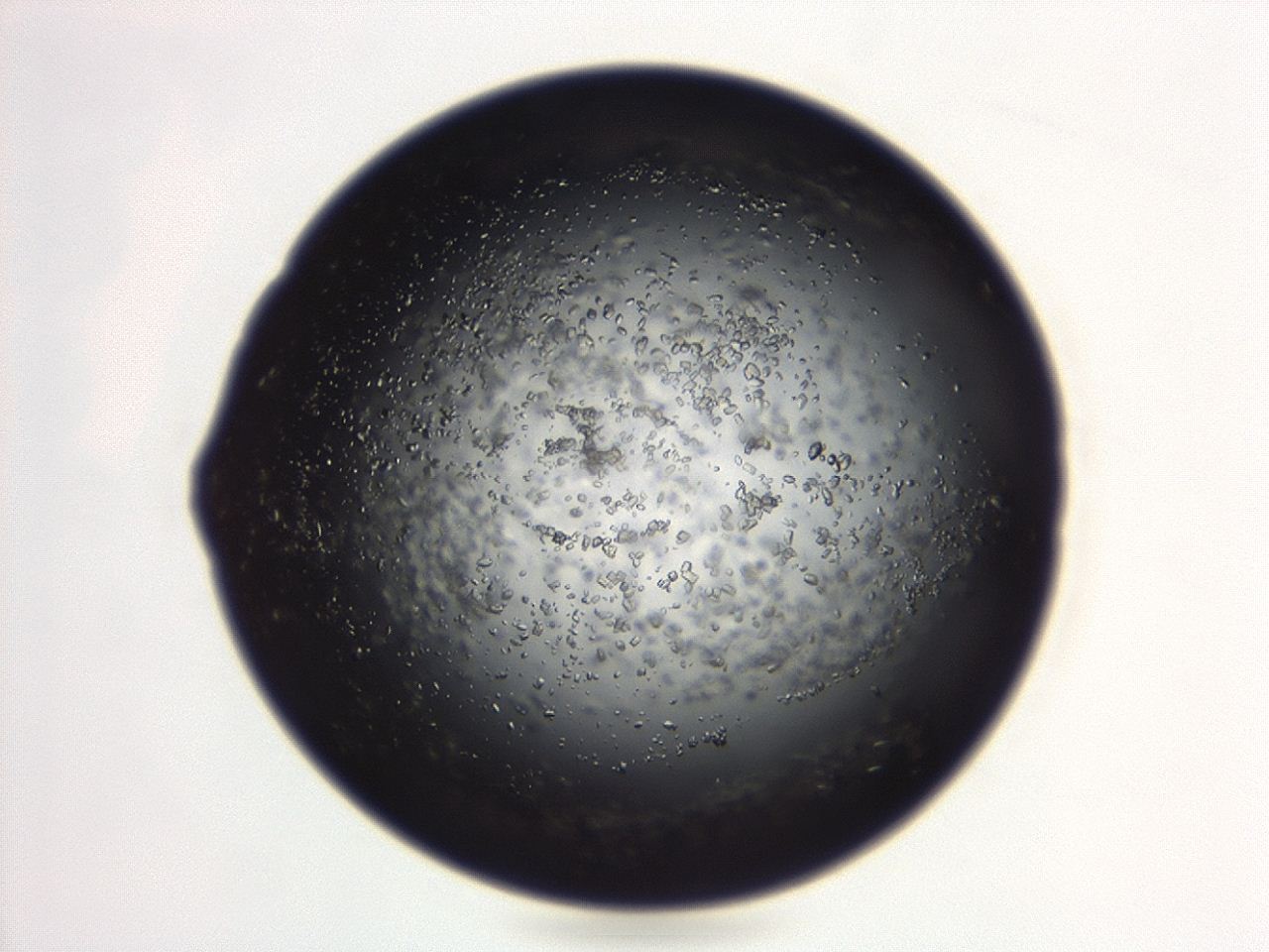 04eo_D11_ImagerDefaults_8.jpg