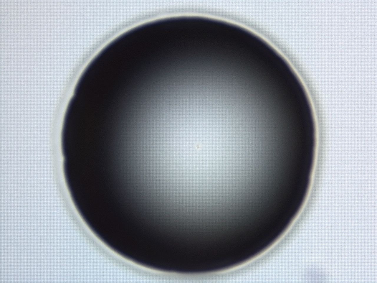 04eo_E10_ImagerDefaults_0.jpg