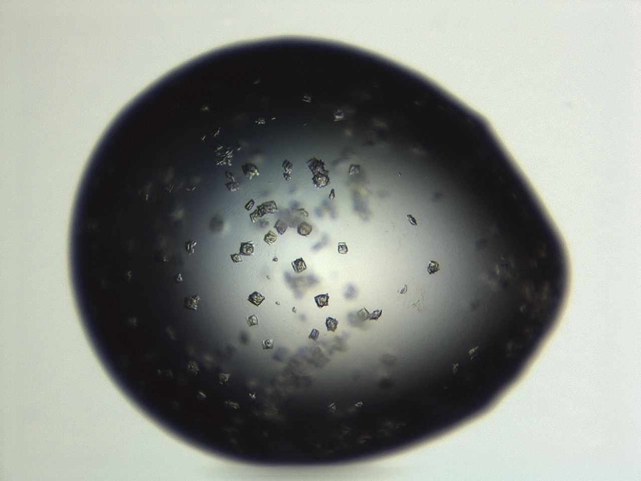 04eo_F2_ImagerDefaults_8.jpg