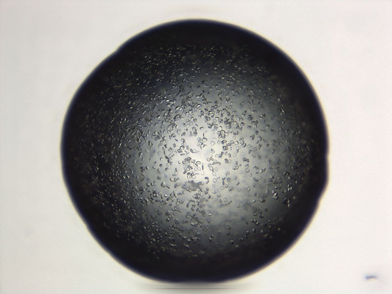 04eo_F3_ImagerDefaults_8.jpg