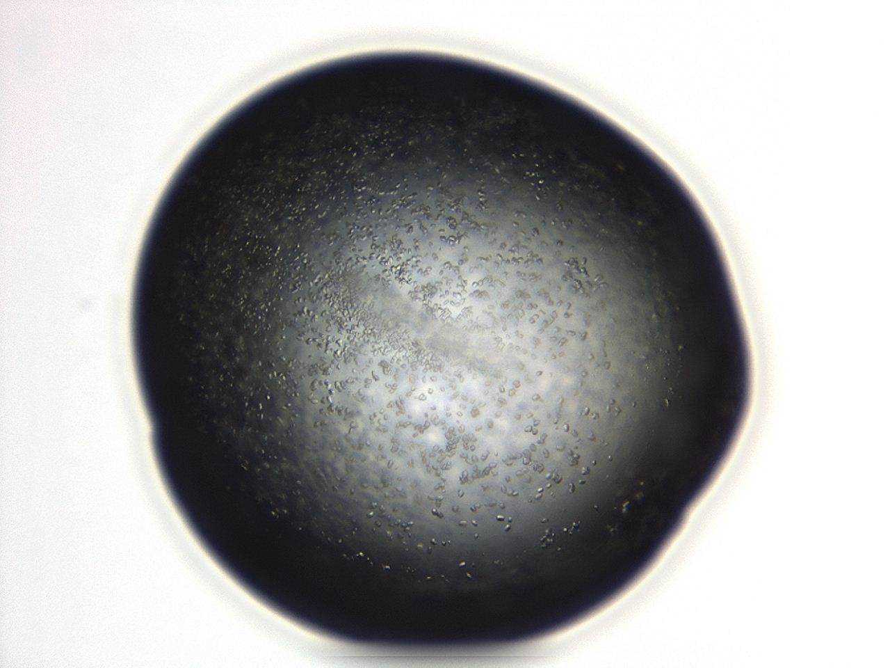 04eo_F4_ImagerDefaults_8.jpg