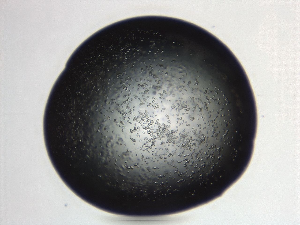 04eo_F5_ImagerDefaults_8.jpg