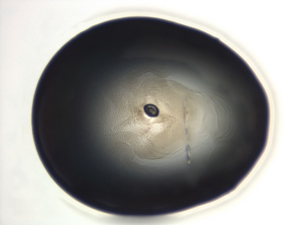04eo_F7_ImagerDefaults_3.jpg