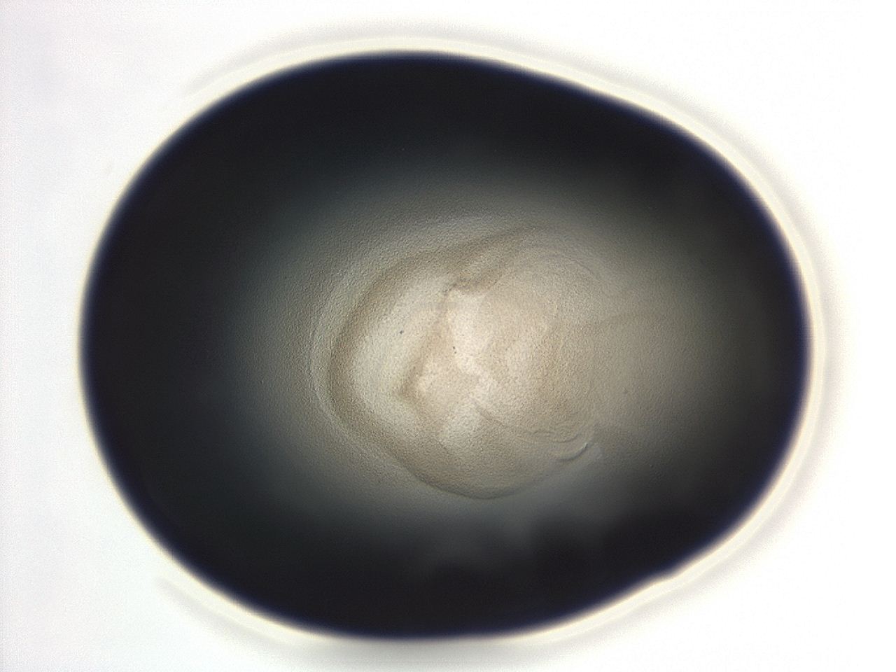 04eo_F8_ImagerDefaults_3.jpg