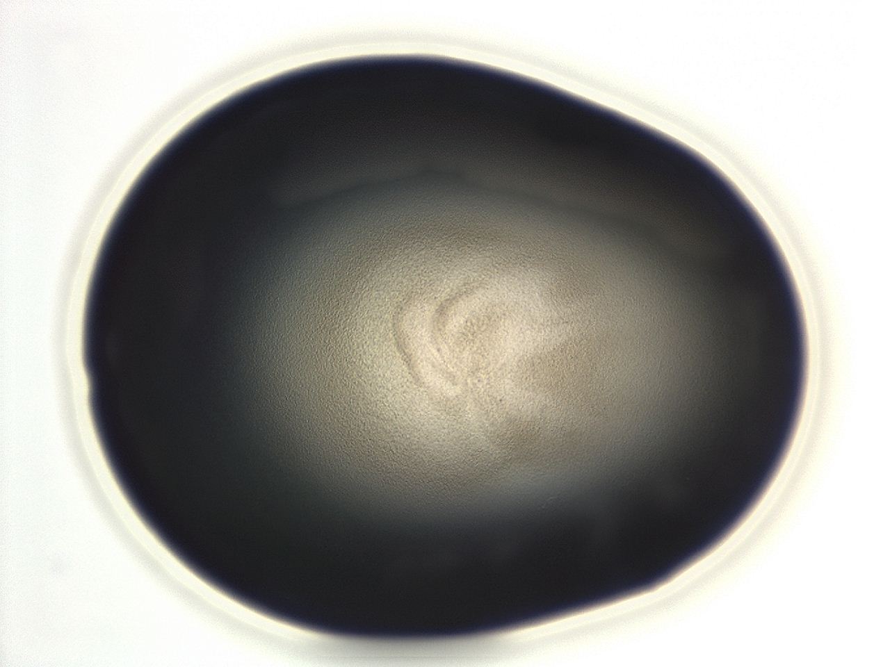 04eo_F9_ImagerDefaults_3.jpg