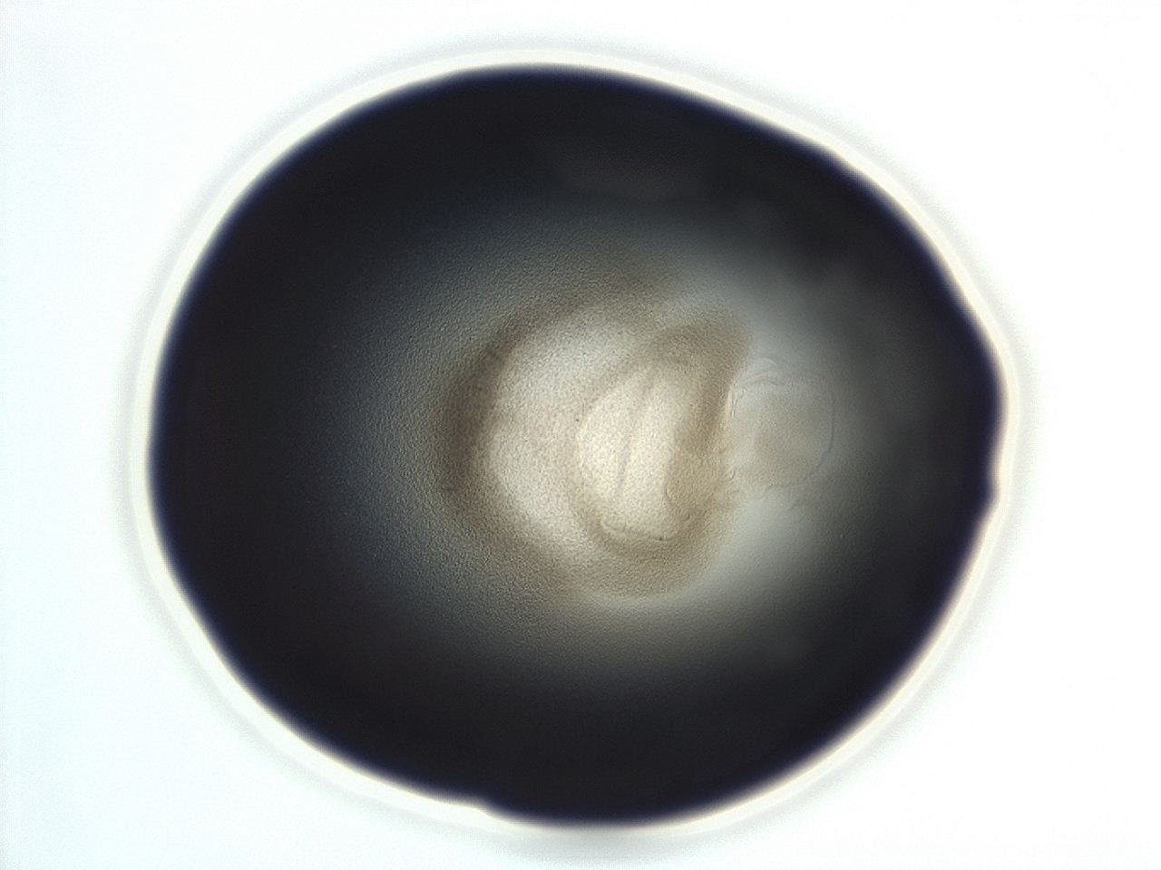 04eo_F10_ImagerDefaults_3.jpg