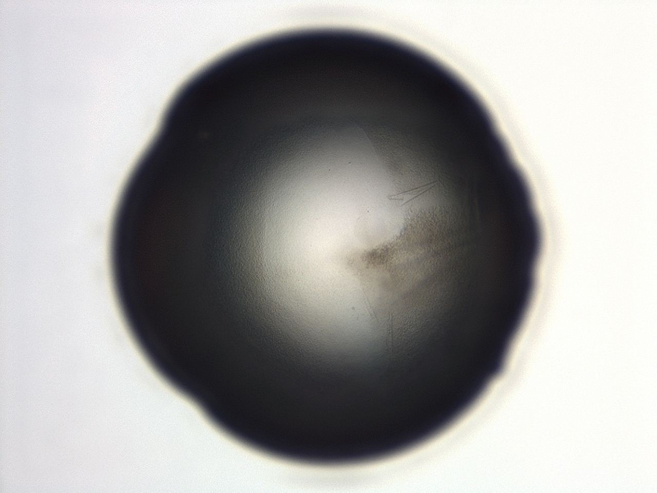 04eo_F12_ImagerDefaults_3.jpg