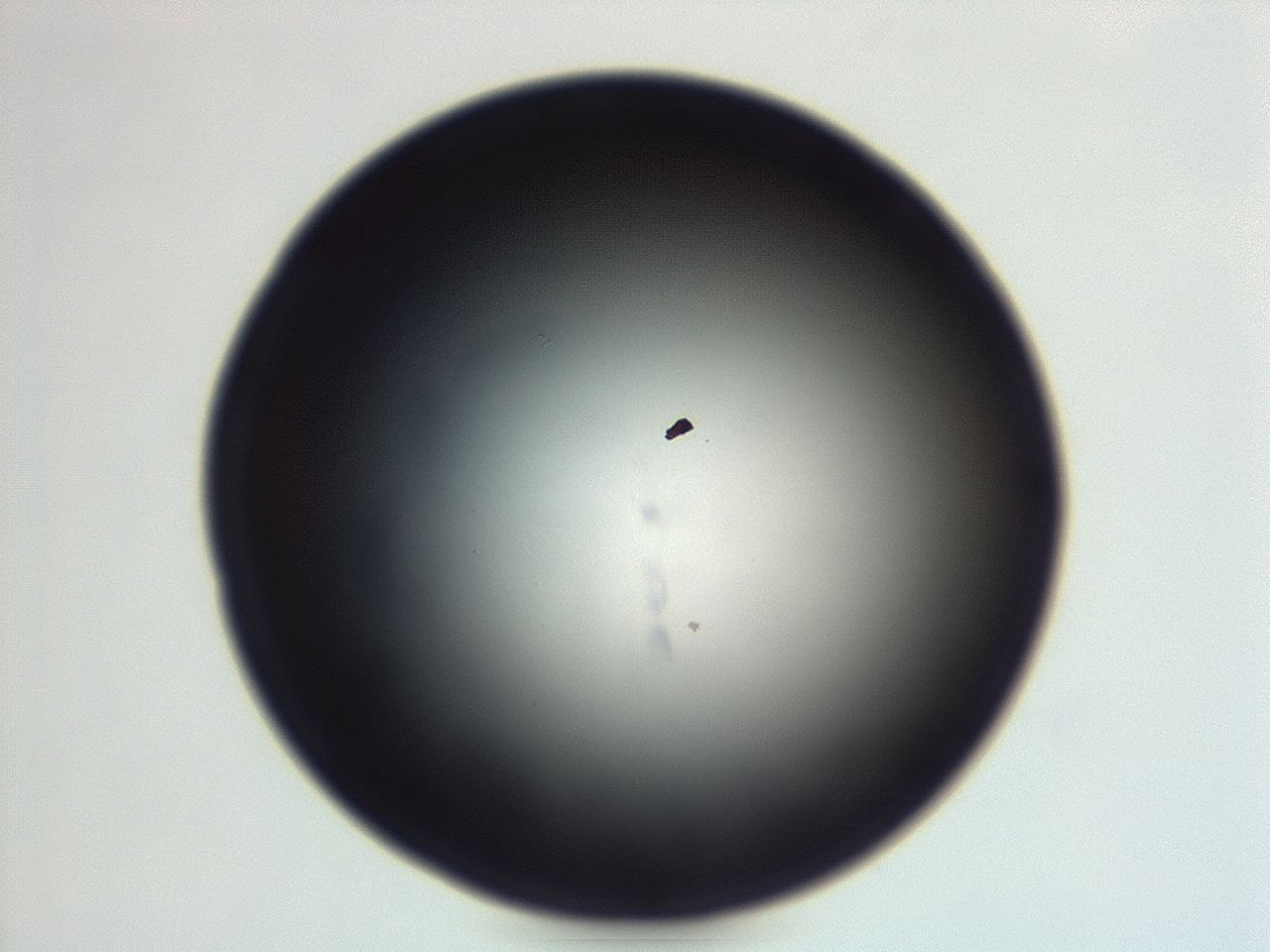 04eo_G1_ImagerDefaults_0.jpg