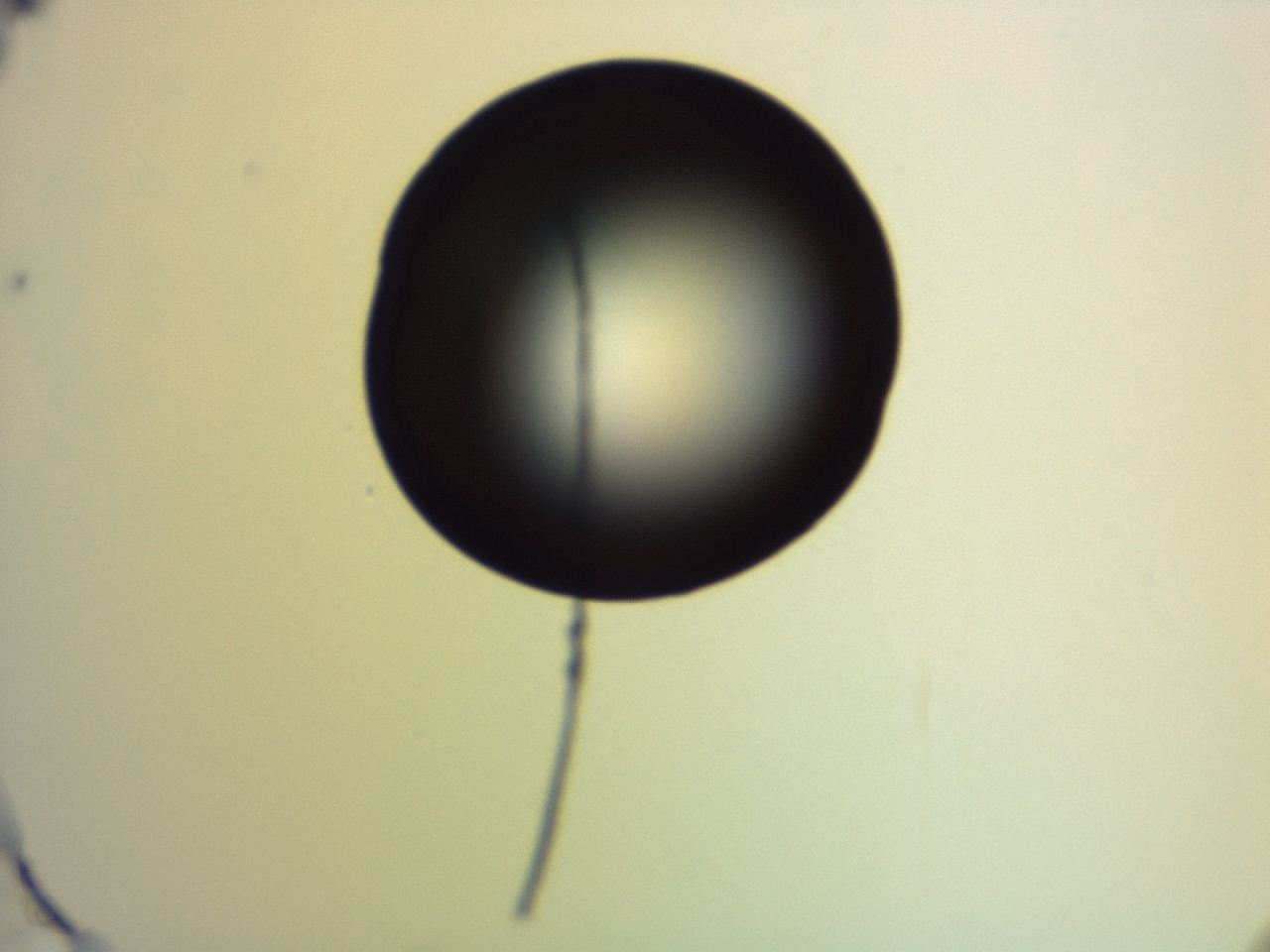04eo_G2_ImagerDefaults_0.jpg