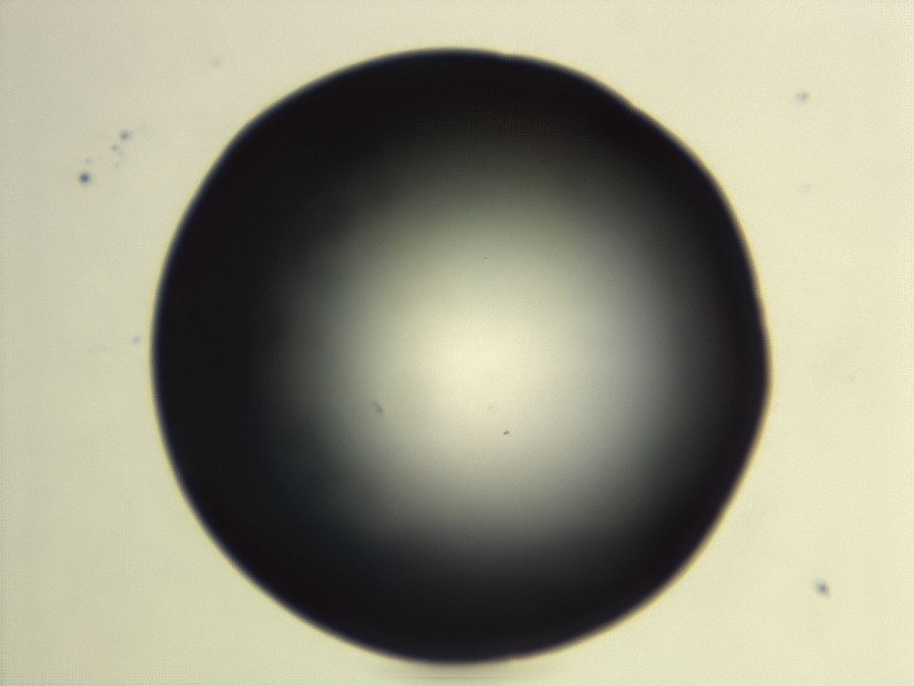 04eo_G6_ImagerDefaults_0.jpg