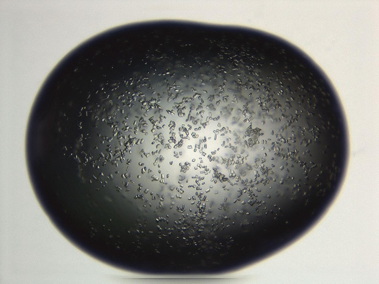 04eo_G9_ImagerDefaults_8.jpg