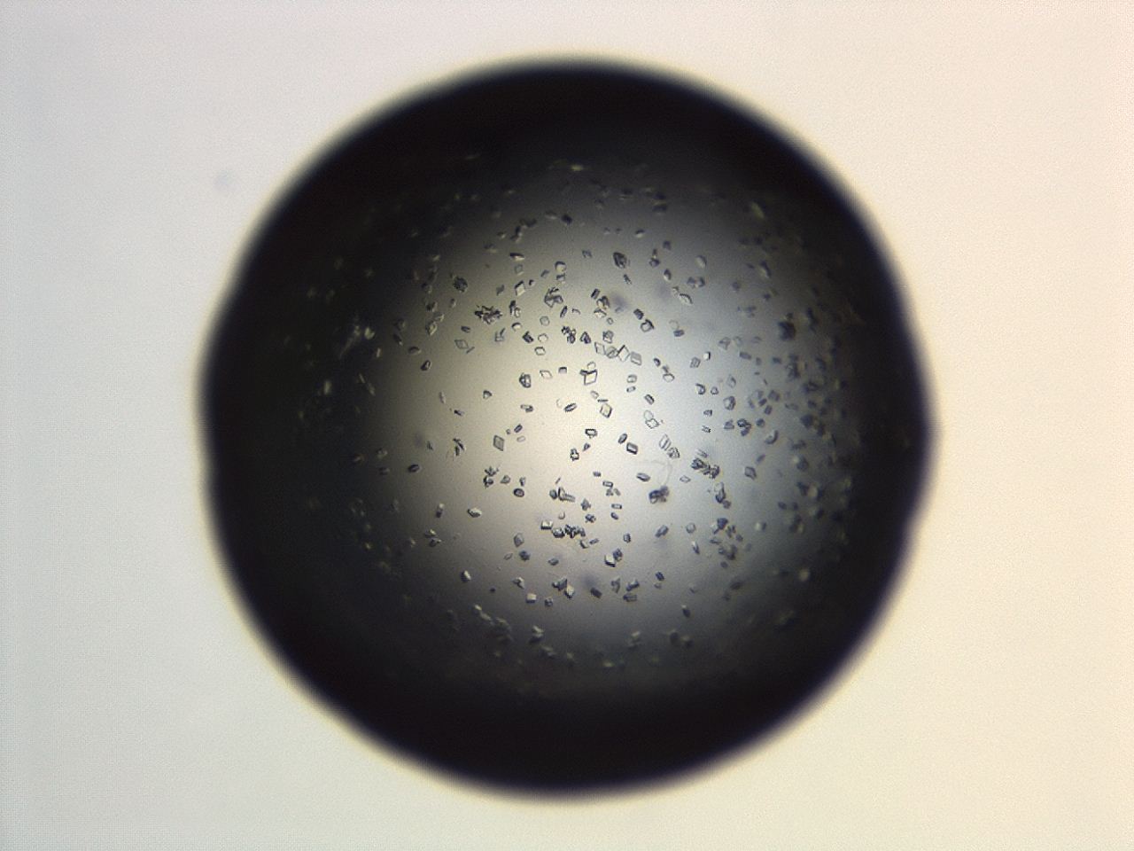 04eo_G12_ImagerDefaults_8.jpg