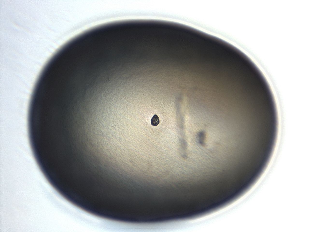 04eo_H1_ImagerDefaults_3.jpg