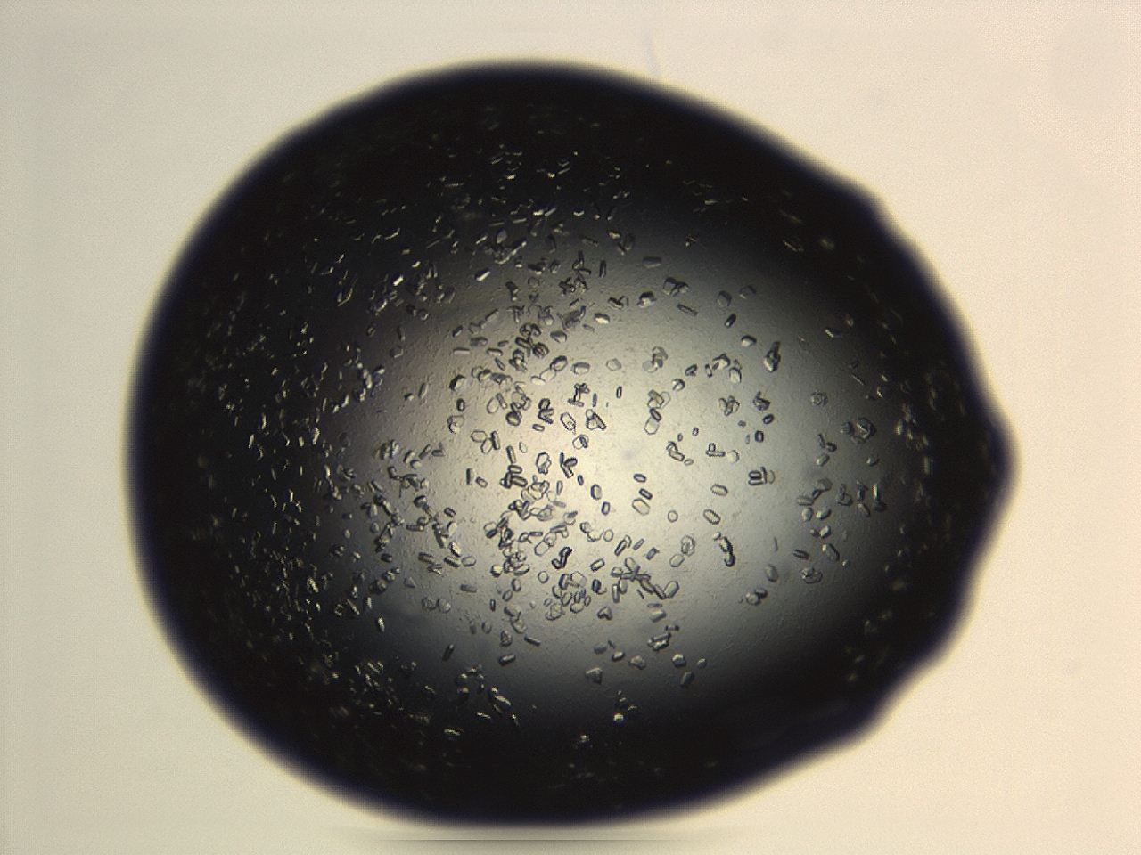 04eo_H2_ImagerDefaults_8.jpg