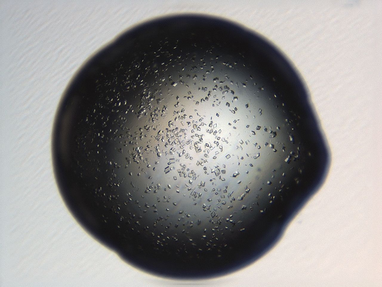 04eo_H4_ImagerDefaults_8.jpg