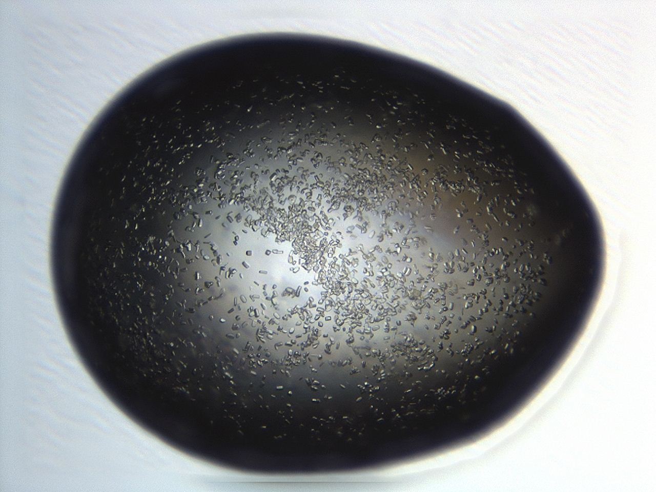 04eo_H5_ImagerDefaults_8.jpg
