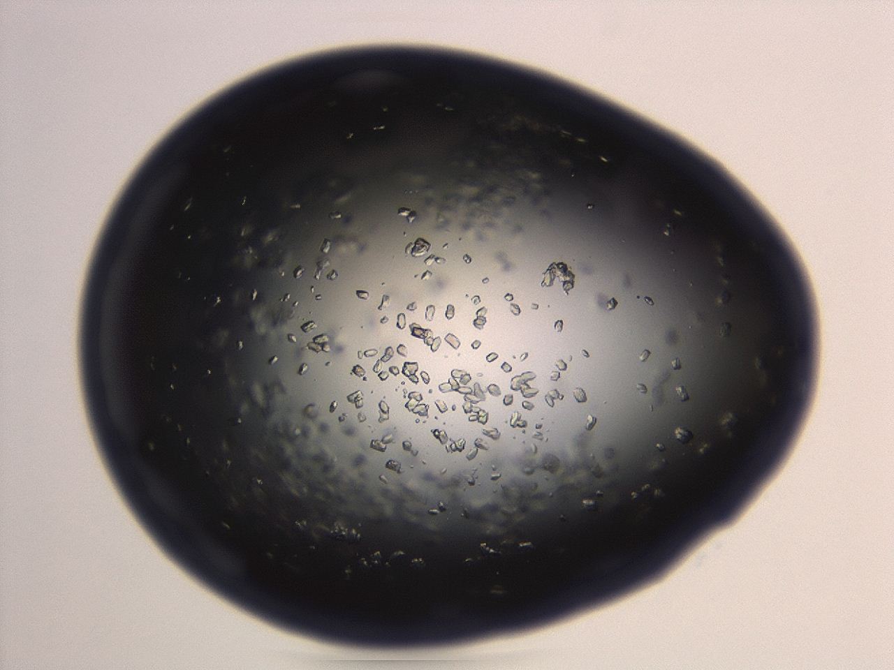 04eo_H6_ImagerDefaults_8.jpg