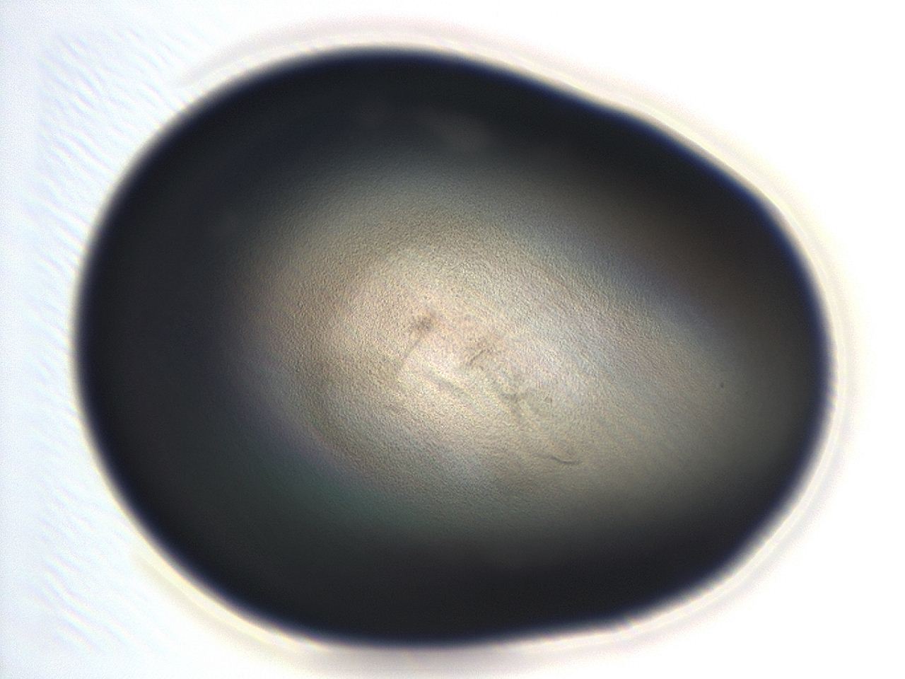 04eo_H9_ImagerDefaults_3.jpg