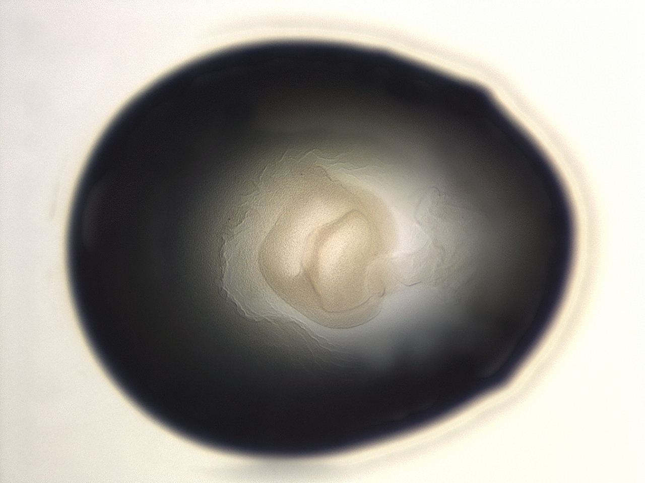 04eo_H10_ImagerDefaults_3.jpg