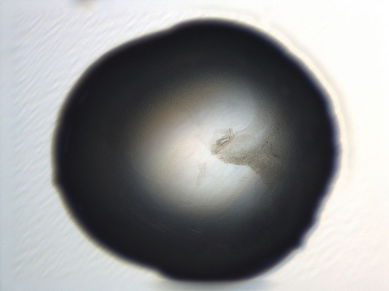 04eo_H12_ImagerDefaults_3.jpg
