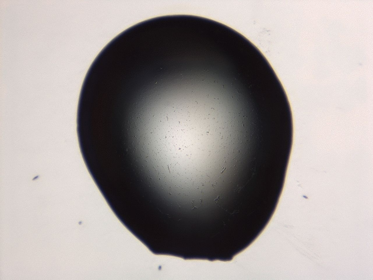 04ep_A6_ImagerDefaults_0.jpg