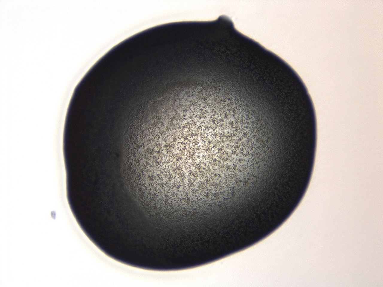 04ep_A9_ImagerDefaults_3.jpg