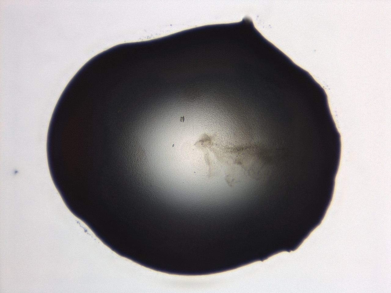 04ep_A12_ImagerDefaults_3.jpg