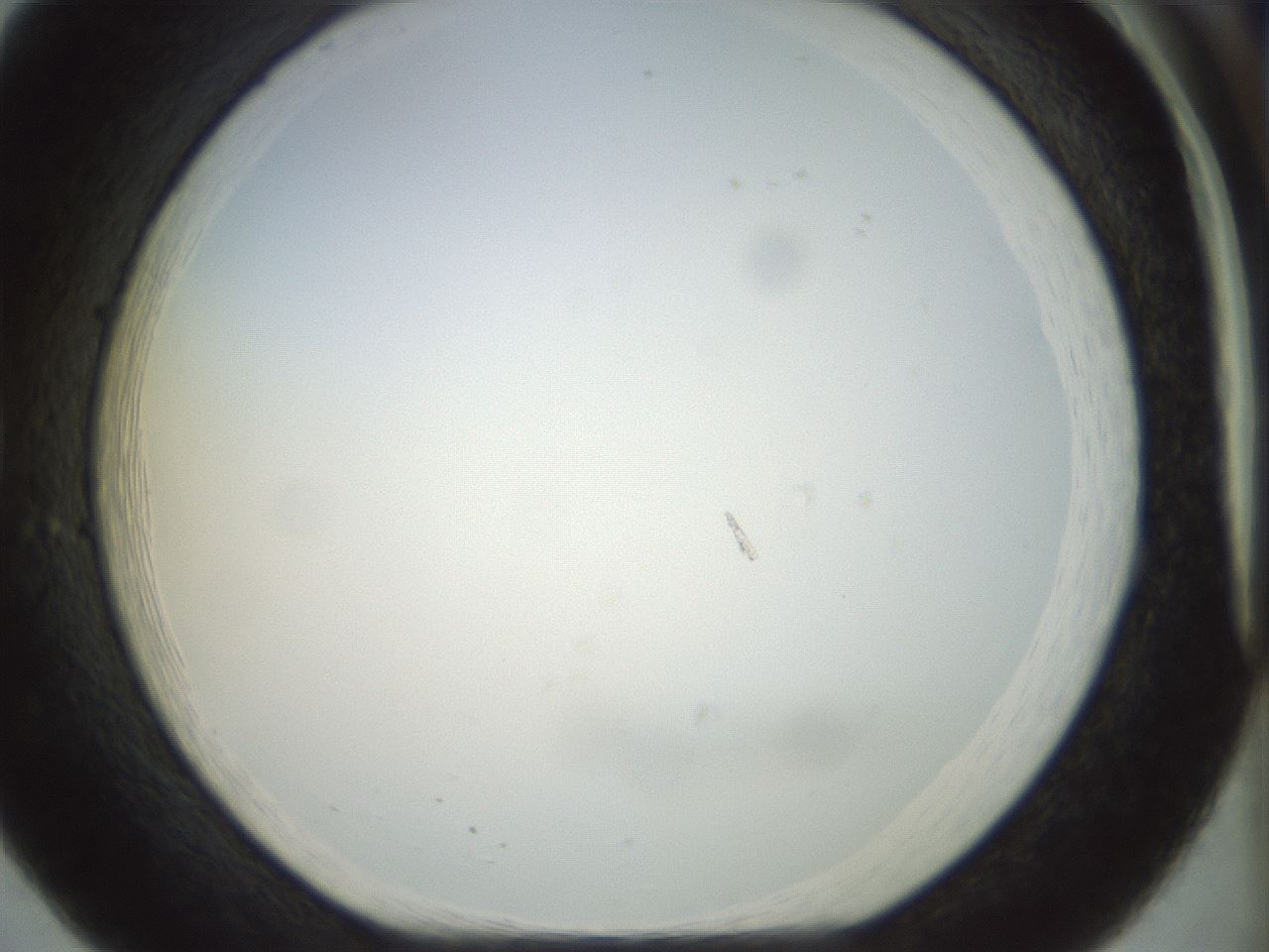 folderID984_plateID984_batchID1510_wellNum20_profileID1_d1_r40160_ef.jpg