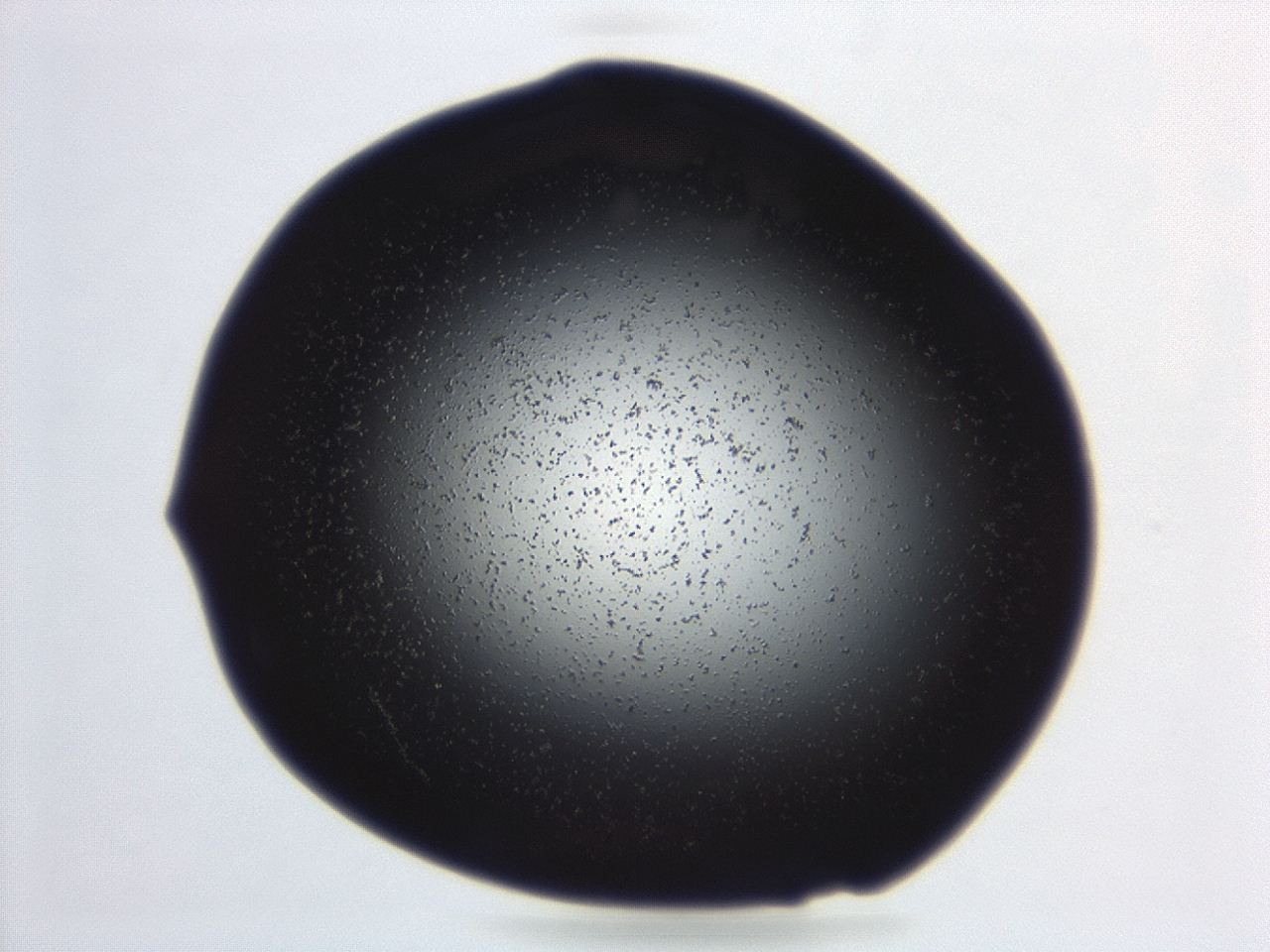 04ep_B11_ImagerDefaults_0.jpg