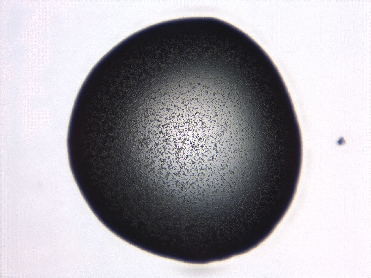04ep_C10_ImagerDefaults_3.jpg