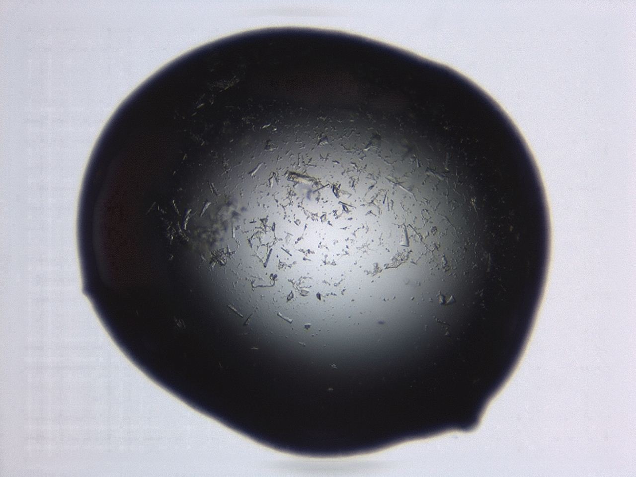 04ep_D10_ImagerDefaults_9.jpg