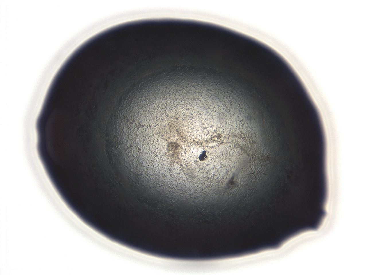 04ep_D12_ImagerDefaults_3.jpg