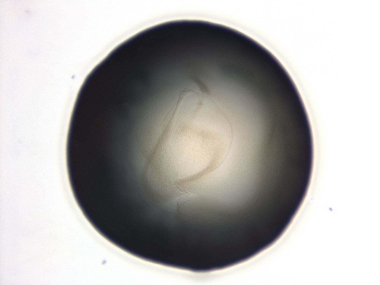 04ep_F8_ImagerDefaults_3.jpg