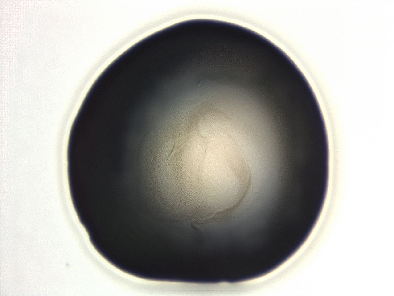 04ep_F9_ImagerDefaults_3.jpg