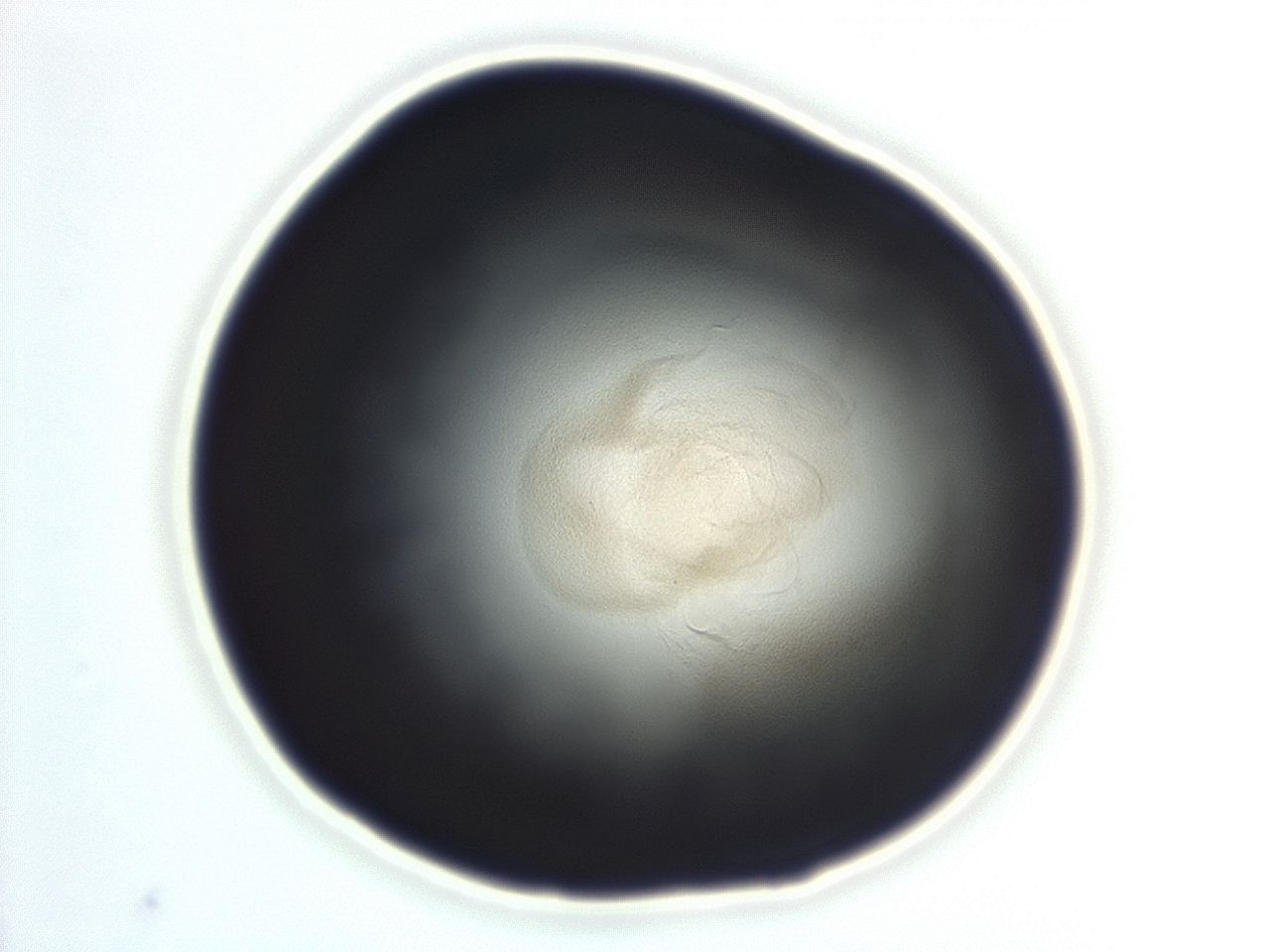 04ep_F10_ImagerDefaults_3.jpg