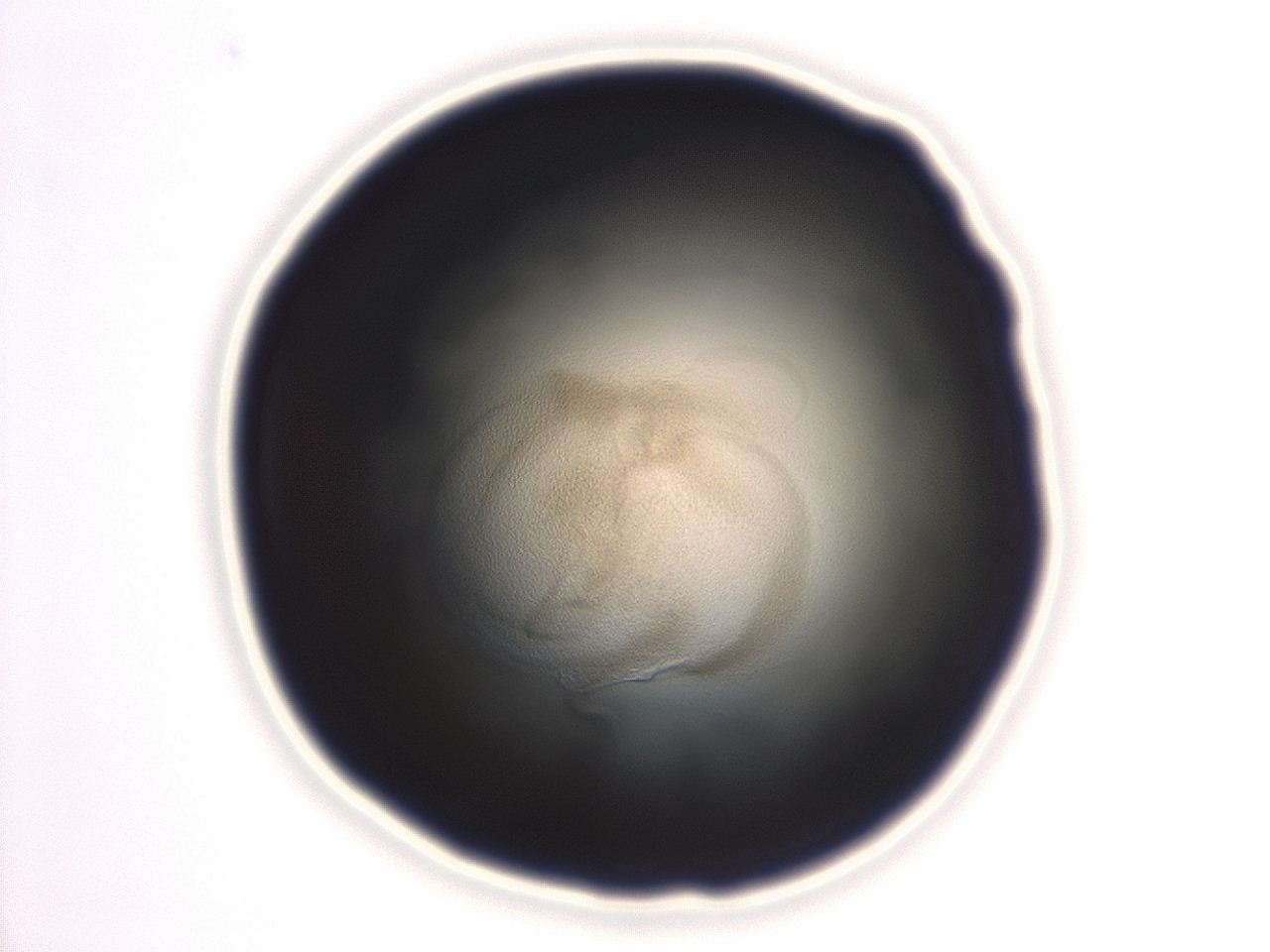 04ep_F11_ImagerDefaults_3.jpg