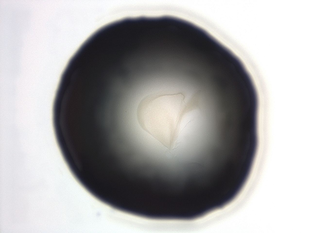 04ep_F12_ImagerDefaults_3.jpg