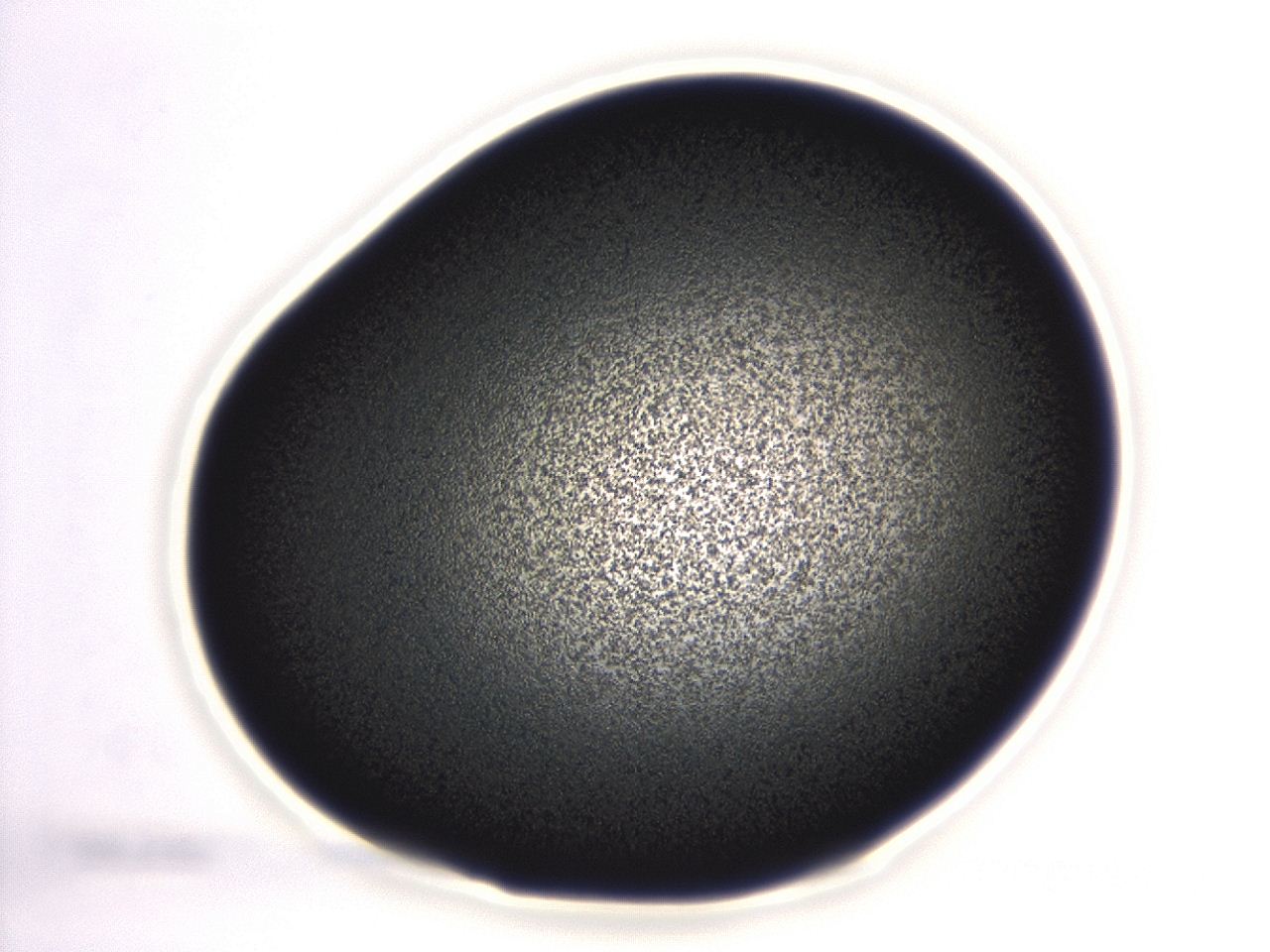 04ep_G3_ImagerDefaults_3.jpg