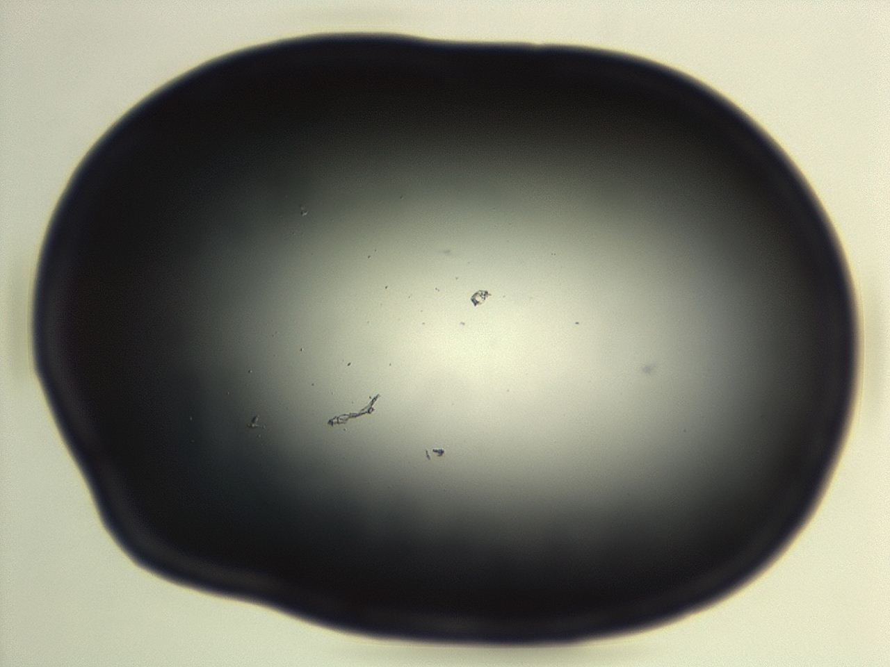 04ep_G6_ImagerDefaults_0.jpg